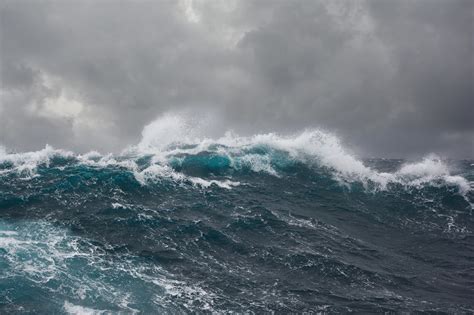 Atlantic Ocean Storm Activity Ocean Wildlife List