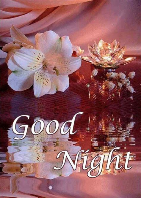 Hello friends good morning welcome to our site. Good night | Good night flowers, Good night greetings ...