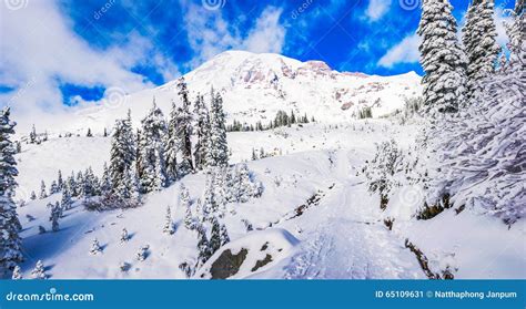 Path Cover With Snow In Paradise Area Scenic View Of Mt Rainier Stock