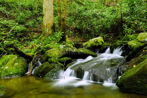 Water Fall Great Smoky Mountains National Park Stock Image Image Of