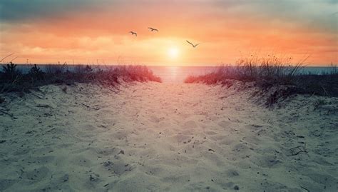 Sand Dune To Ocean Way To Beach In Sunset Or Sunrise Stock Photo