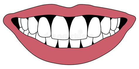 White Teeth Stock Illustrations 106082 White Teeth Stock