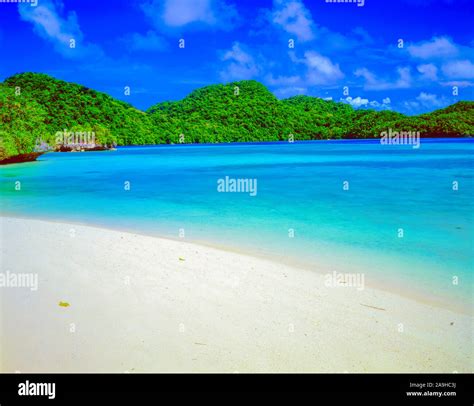 Honeymoon Island Palau Hi Res Stock Photography And Images Alamy