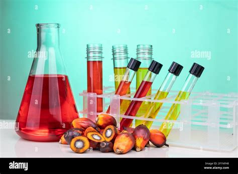 Red Color Unrefined Palm Oil And Fruits With Beaker Test Tube In
