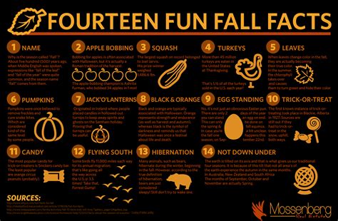 14 fun fall facts fall facts fall fun fun