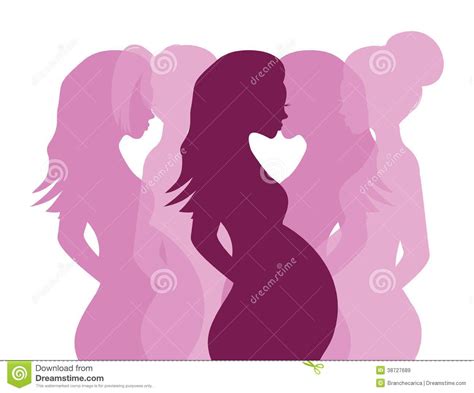 Siluetas De La Mujer Embarazada Ilustración Del Vector