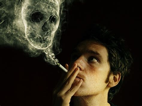 Bahaya Merokok Bagi Tubuh Kita Yang Tidak Bisa Di Abaikan ~ Jendela Infromasi Blog
