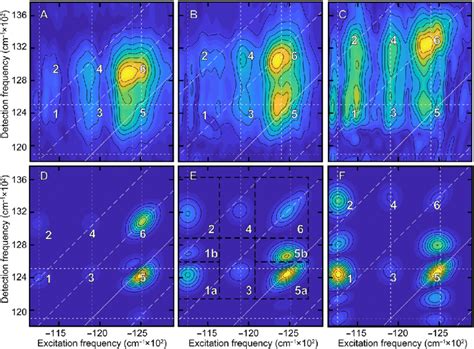 Comparison Of Experimental And Simulated Positive Frequency Coherence