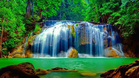 Waterfall in the Forest picture - ID: 4755
