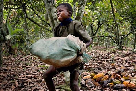 Nestlé Steps Up Efforts To Fight Child Labour