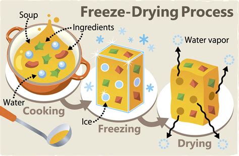 Freeze Drying Food