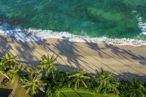 Laniakea Beach North Shore Oahu Photograph By Douglas Peebles