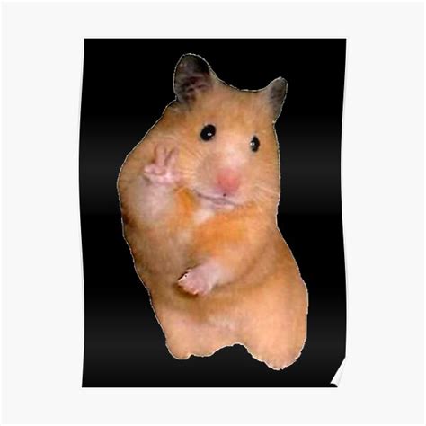 Peace Sign Hamster Poster For Sale By Linh793 Redbubble