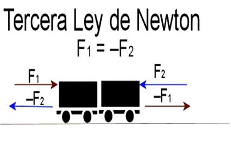 La Tercera Ley De Newton Mecánica