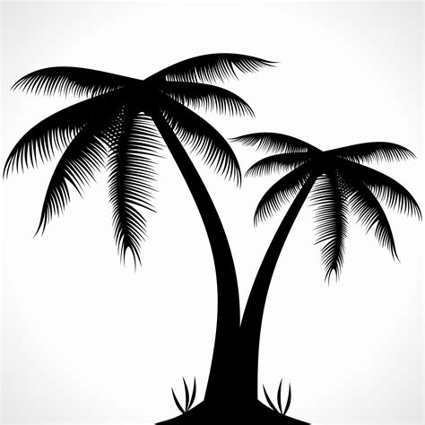 Vector Palm Tree Silhouette Clipart Best