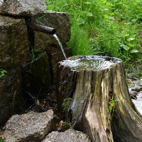 Creative Uses For Tree Stumps Diy And Fun