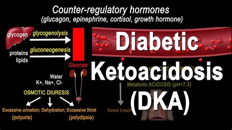 Pathophysiology Of Diabetic Ketoacidosis Animation Me