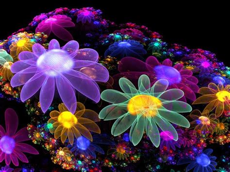 Margys Musings Beautiful Fractals