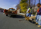 6 things scientists have learned from studying roadkill - Vox