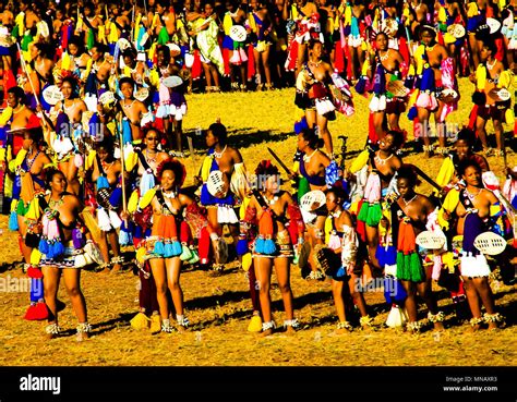 women in traditional costumes dancing at the umhlanga aka reed dance for their king 01 09 2013