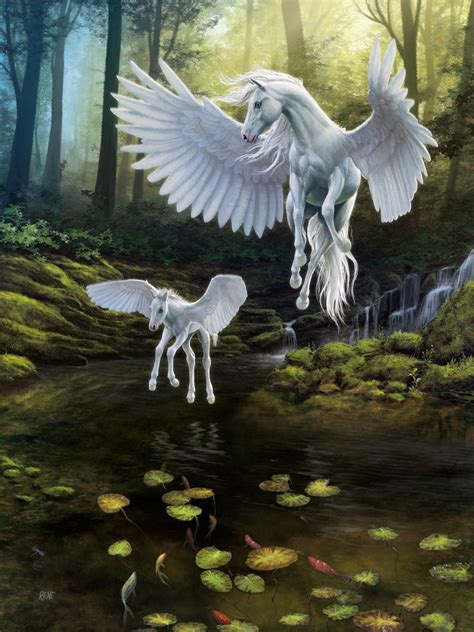 Pegasus Unicorn And Fairies Unicorn Fantasy Fantasy Horses Unicorn
