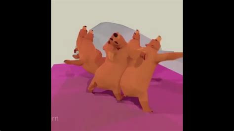 Bears Dancing Youtube