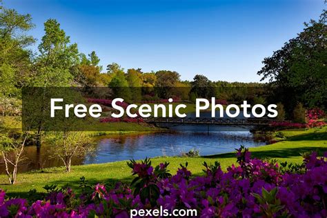 1000 Engaging Scenic Photos · Pexels · Free Stock Photos