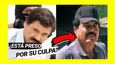 El Mayo Zambada Vendió Al Chapo GuzmÁn Youtube