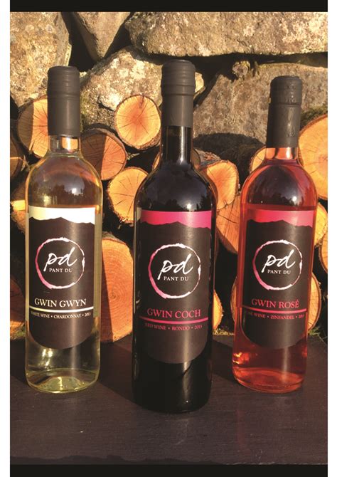 Wine Bottle Graphic Design | Wine bottle, Bottle, Rosé wine bottle