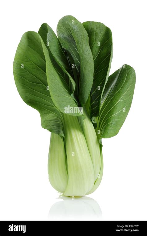 Bok Choy Chinese Cabbage Isolated On White Background Stock Photo Alamy