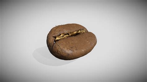 Coffee Bean Download Free 3d Model By Digital Archive Of Natural
