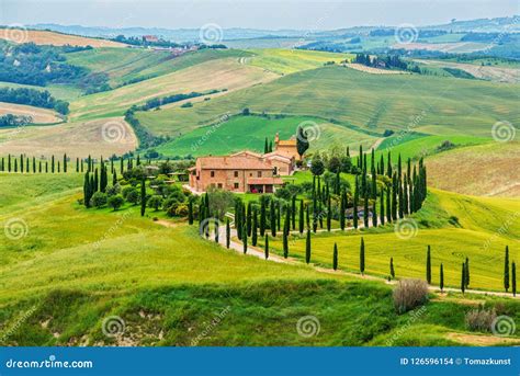 Tuscany Countryside South Of Siena Stock Photo Image Of Siena Crete