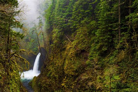Oc Elowah Falls In The Columbia River Gorge Oregon 6016x4000