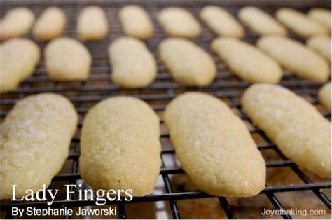 Our most trusted lady finger cookies recipes. You may know them as Ladyfingers but these long finger- or oval-shaped cookies are also known ...