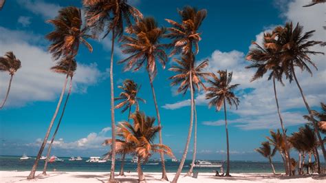 The Ultimate Dominican Republic Bucket List The Curly Sunshine
