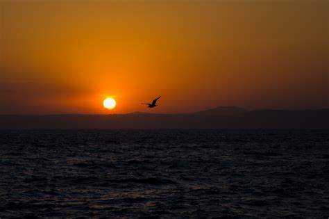 Free Images Sea Coast Ocean Horizon Sun Sunrise Sunset