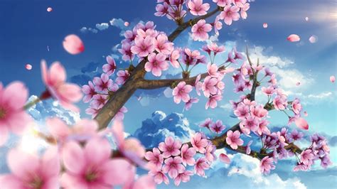 Cherry Blossom Scenic Petals Sky Sakura Anime 1080p Wallpaper