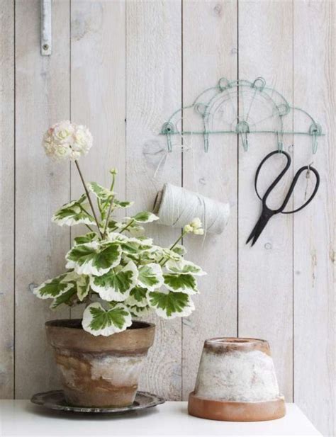 Décor Inspiration Falling In Love With Geraniums Tig Digital