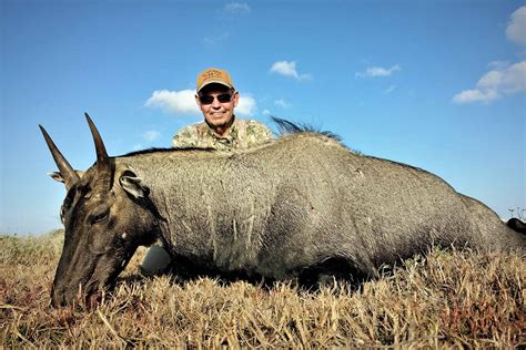 Texas Nilgai Hunting Expands With Increased Management Of Exotic Species
