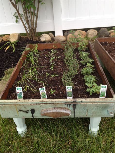 How To Make Your Own Herb Garden Bc Guides