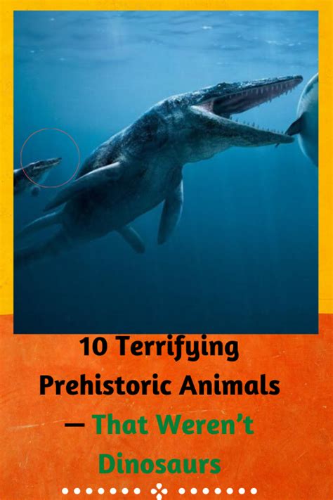 10 Terrifying Prehistoric Animals — That Werent Dinosaurs