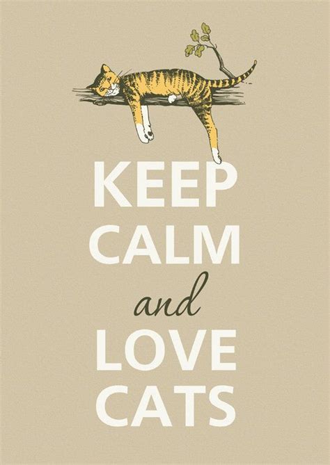 Quotes I Love Cats And Dogs Quotesgram