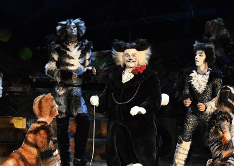 Cats The Musical Review A Campy Theatrical Spectacle Honeycombers