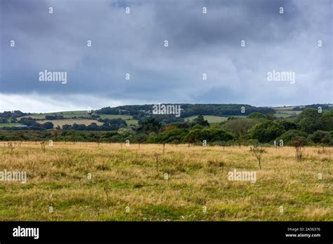Dorset Countryside Landscape On A Cloudy Day Isle Of Purbeck Dorset