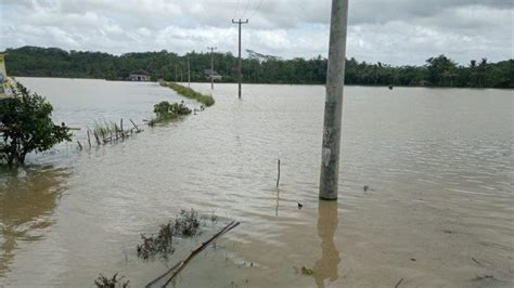 Sungai Ciparanje Meluap Ratusan Hektar Sawah Di Tegalbuleud Sukabumi