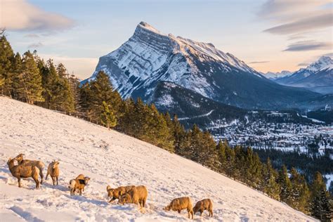 30 Wonderful Things To Do In Banff In Winter The Banff Blog