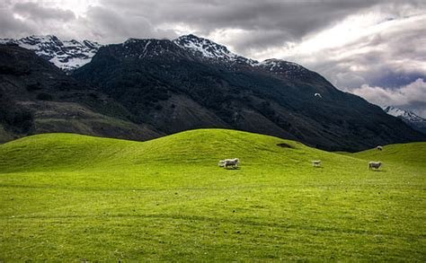 Hd Wallpaper Green Grass Field Near Mountain At Sunset New Zealand