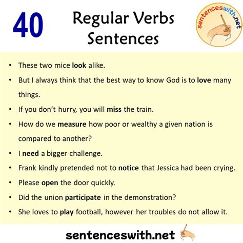 40 Regular Verbs Sentences Examples Regular Verbs Examples Sentences
