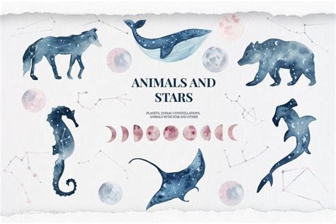 Animals And Stars Collection Watercolor Constellation Etsy