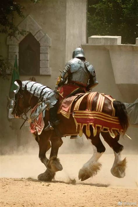 Pin By Q M On Knight Medieval Horse Horse Armor Knight In Shining Armor